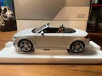 Audi collection 1:18 - Voiture miniature - Audi TT Roadster