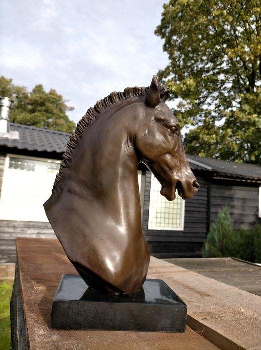 Beeld, horsehead - 34 cm - brons marmer, Antiek en Kunst, Kunst | Designobjecten
