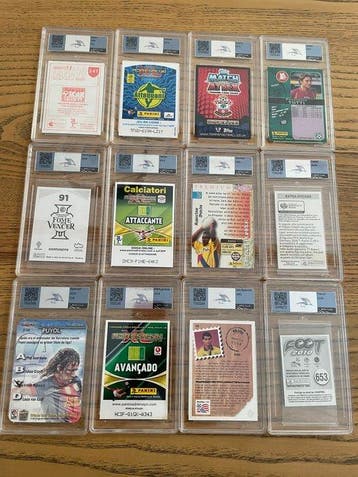 Panini - 12 Card - Excellent (EX)