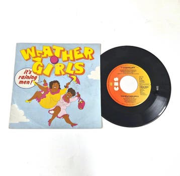 The Weather Girls – It's Raining Men (Vocal / Instrumental), Verzenden, Nieuw in verpakking