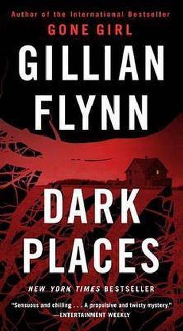 Dark Places 9781101902882 Gillian Flynn, Verzenden, Gelezen, Gillian Flynn