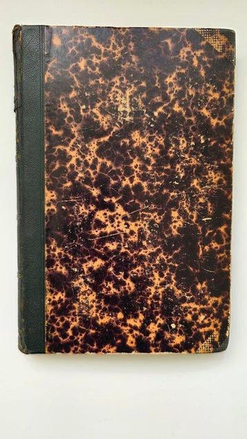 Bernhard Riemann - Partielle Differentialgleichungen und