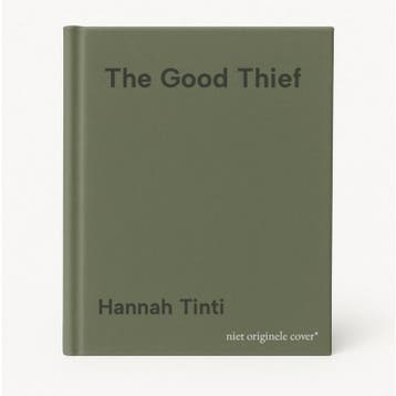 The Good Thief 9780755329496 Hannah Tinti, Verzenden, Hannah Tinti
