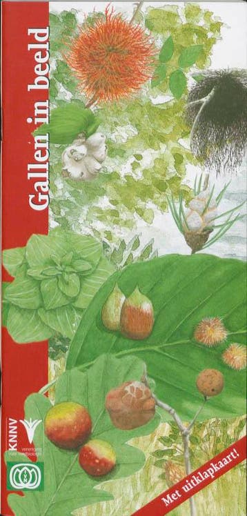 Gallen in beeld / In beeld / 21 9789050112949 K. de Heer, Verzenden, Zo goed als nieuw, K. de Heer
