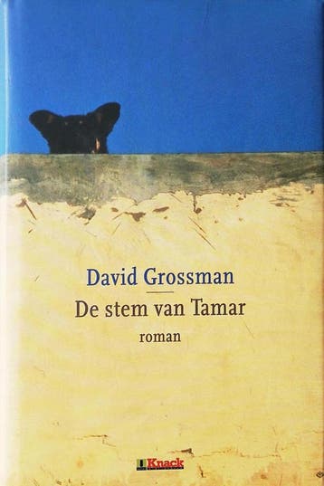 De stem van Tamar / Knack bibliotheek 9789054668404, Verzenden, Gelezen, David Grossman