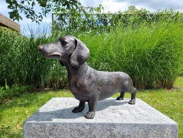 Figurine - Grote teckel hond - Bronze