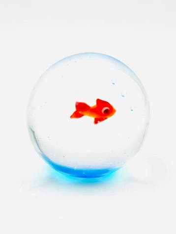 Handmade Murano glass - Sculpture, Boccia con pesce rosso -