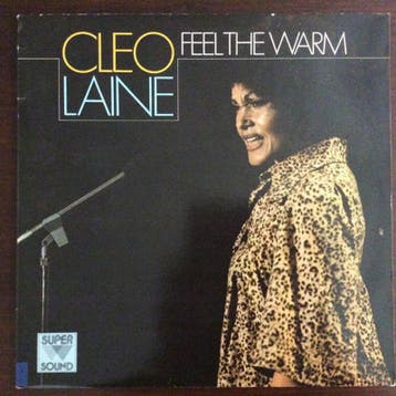 Cleo Laine – Feel The Warm LP, CD & DVD, Vinyles | Pop, Verzenden