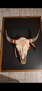 Bizon Gesneden schedel - Bison bison - 60 cm - 58 cm - 20 cm