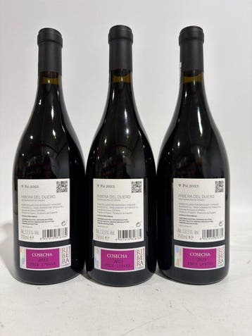 2023 Dominio de Pingus, Psi - Ribera del Duero - 3 Flessen, Nieuw