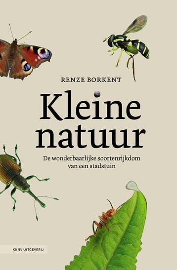 Kleine natuur 9789050119375 Renze Borkent, Verzenden, Renze Borkent