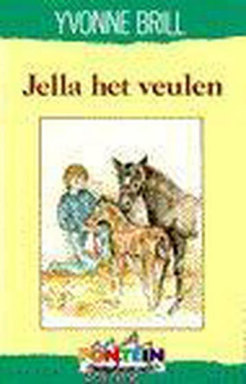 JELLA HET VEULEN 9789026106187 Yvonne Brill, Verzenden, Gelezen, Yvonne Brill
