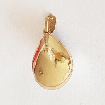 Hanger - 18 karaat Geel goud Parel