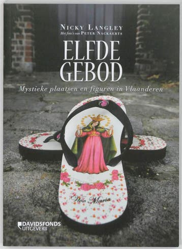 Elfde gebod 9789058267351 Nicky Langley, Verzenden, Zo goed als nieuw, Nicky Langley
