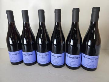 2023 Sylvain Pataille - Bourgogne - 6 Bouteilles (0,75 L), Nieuw