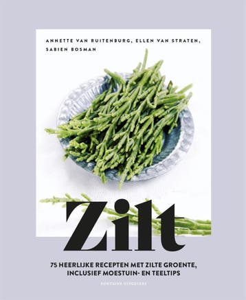 Zilt 9789464040906 Annette van Ruitenburg, Verzenden, Zo goed als nieuw, Annette van Ruitenburg