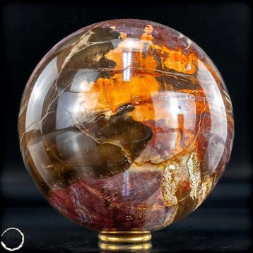 Natuurlijk versteend hout als bol – Intense houtnering in