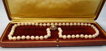 Sans prix de réserve - Collier de perles - 8 carats Or
