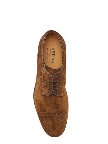 TESTONI - 8 UK - 42 IT - Aosta Derby Eco Suede Cider -