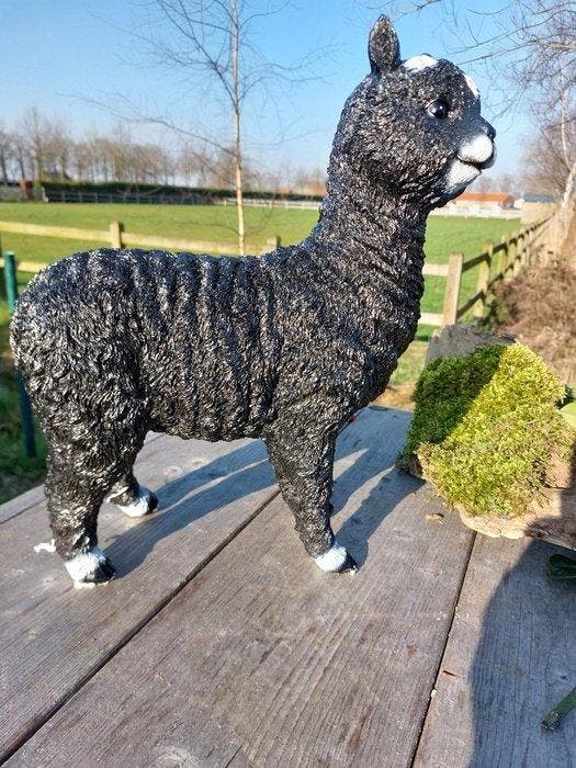 Beeld, Alpacca black - 41 cm - polyresin, Antiquités & Art, Curiosités & Brocante