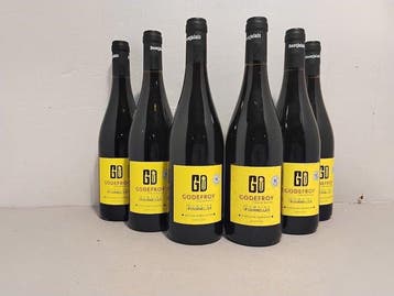 2022 Domaine des Fournelles Godefroy - Côte de Brouilly -, Nieuw