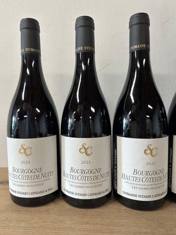 2023 Domaine Sylvain Cathiard, Bourgogne Hautes Cotes de, Nieuw