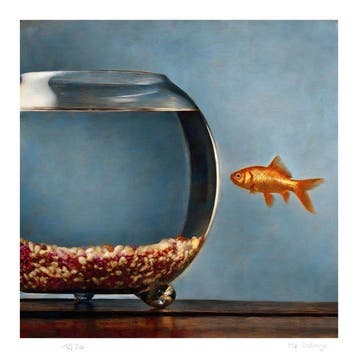 Mr Strange (XX-XXI) - The Goldfish