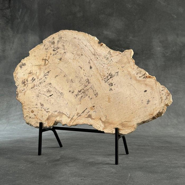 Prachtige snede van versteend hout op een op maat gemaakte, Antiquités & Art, Art | Objets design