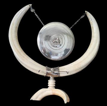 Argento, défenses de phacochère - Gong du dîner - Éthiopie