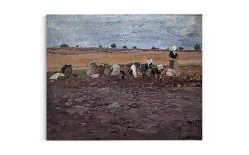 Hugo Mühlig (1854-1929) - Kartoffelernte