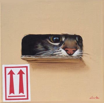 Gala - Cat painting ~Secret box~