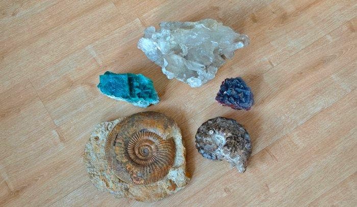 fluoriet, bergkristal, ammoniet kubisch, prismatisch- 8.64, Verzamelen, Mineralen en Fossielen