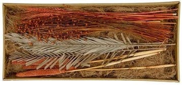 Droogbloempakket Exotic mix tray Terracotta, Nieuw