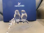 Swarovski - Figurine - White-Eyes - 5249843 - Unboxed -