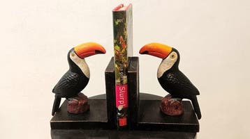 Boekensteunen (2) - Gietijzer - guinness bier toekan