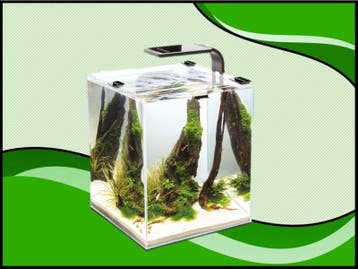 Aquael nano cube set smart II DAY&NIGHT - 30 liter zwart aqu, Dieren en Toebehoren, Verzenden, Nieuw