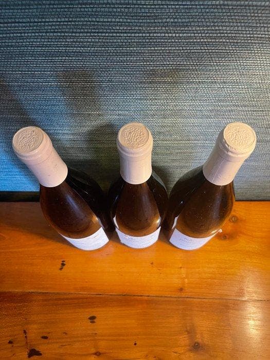 2020 Claire Naudin Bellis Perennis Hautes Côtes de Beaune -, Verzamelen, Wijnen