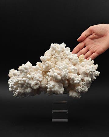 Grosse calcite mamellonnée à flocons, Sardaigne Cristaux sur