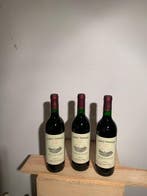 1999 Chateau Trimoulet - Saint-Émilion Grand Cru - 3, Collections, Vins