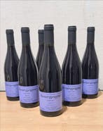 2023 Sylvain Pataille - Bourgogne - 6 Bouteilles (0,75 L), Collections, Vins