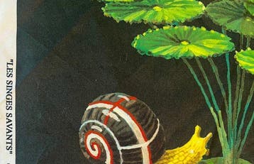 PIERRE FREY - Nieuwe set van twee - Kussen