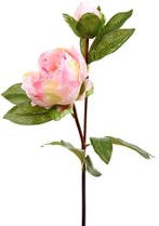 Grote Pioen Zijdenbloem Light Pink Tak 77 cm