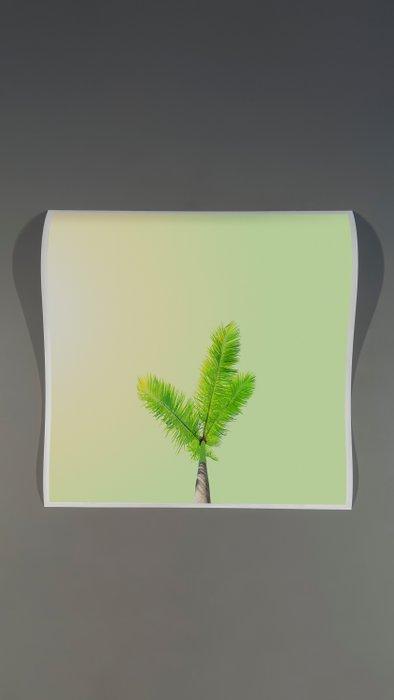 Téber - Kiwi Palm at Sunrise · No Reserve, Antiquités & Art, Art | Objets design