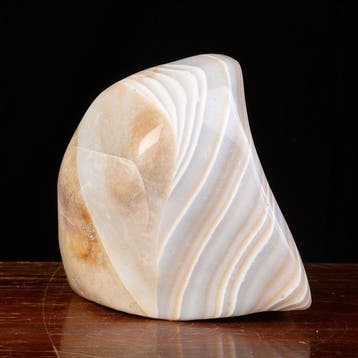 Rare jaspe zèbre blanc - Grande forme libre polonaise -
