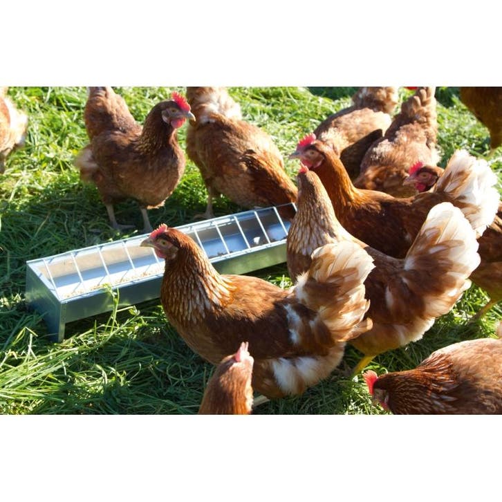 Voedertrog verzinkt, 75 cm lang 10 cm breed, v. kippen -, Animaux & Accessoires, Volatiles | Accessoires