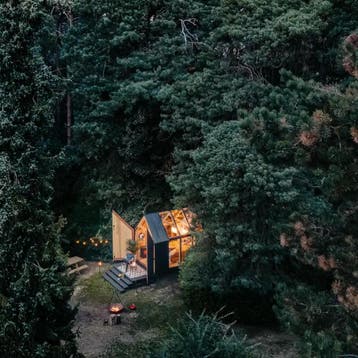 Bijzondere vakantiehuizen in NL - Nét even anders dan anders, Vakantie, Huisdier toegestaan, In bos