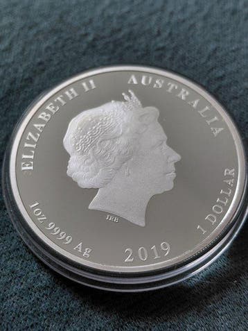 Australië. 1 Dollar 2019, Year of the Pig, 1 Oz (Zonder