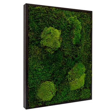 Mosschilderij Lappenmos-Bolmos 30x40 cm Zwart - Viborg, Verzenden, Nieuw