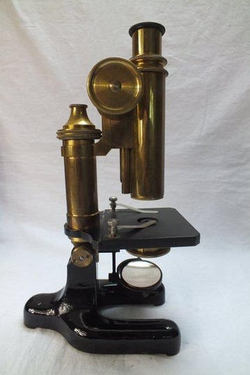 Microscoop - 1850-1900 - Strohlein & Co.