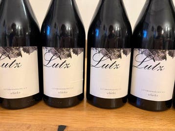 2018 Schiefer Lutz Blaufränkisch - Burgenland, Lutzmannsburg, Nieuw